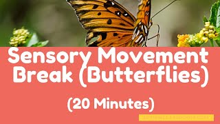 Sensory Movement Break Calming Music (Butterflies) for a Timed 20 Minute Break