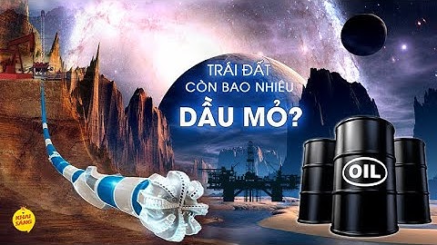 Hầu hết dầu trên thế giới đến từ nước nào năm 2024