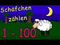 Schafe zählen zum einschlafen und lernen 1-100 - zählen lernen lied deutsch