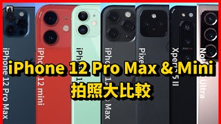 Apple iPhone 12 Pro Max & 12 mini 拍照PK各家旗艦手機 | 2020新北耶誕城、日拍、夜拍、人像對決、三星 、 Sony 、 Google 【束褲開箱】