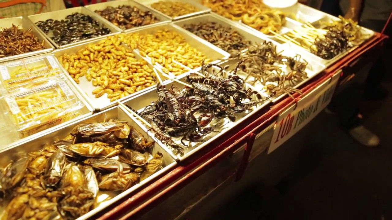 backpack Thaïland - YouTube