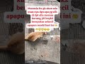 jgn lupa bersyukur utk hari ini🤲🤲 😇😇😊😊