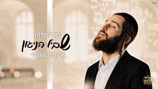 שביל הניגון - 📖 תן לי תפילה - שמואל | נעימות ללא מילים | שביל הניגון