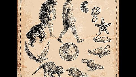 LEVEL 2. Ch 1. ORIGIN AND EVOLUTION OF LIFE, TAXONOMY, CSIR UGC NET/SLET/ LIFESCIENCE/NEET BIOLOGY