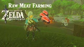 How to farm raw meat in BOTW