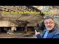 Live Stream from the Millennium Falcon for five