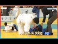 연예계 핵주먹 이훈, 강력한 조르기 한판에 상대 선수 기절 ㄷㄷ...│KBS 151208 방송