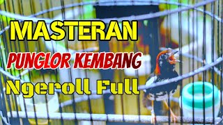 MASTERAN ANIS KEMBANG FULL ROLL TEMBAK DURASI PANJANG COCOK UNTUK SEMUA PUNGLOR