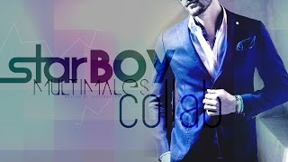 Celebrity MultiMales | S T A R B O Y (collab) Wealth