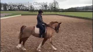 Ad ref 249181    Video 1