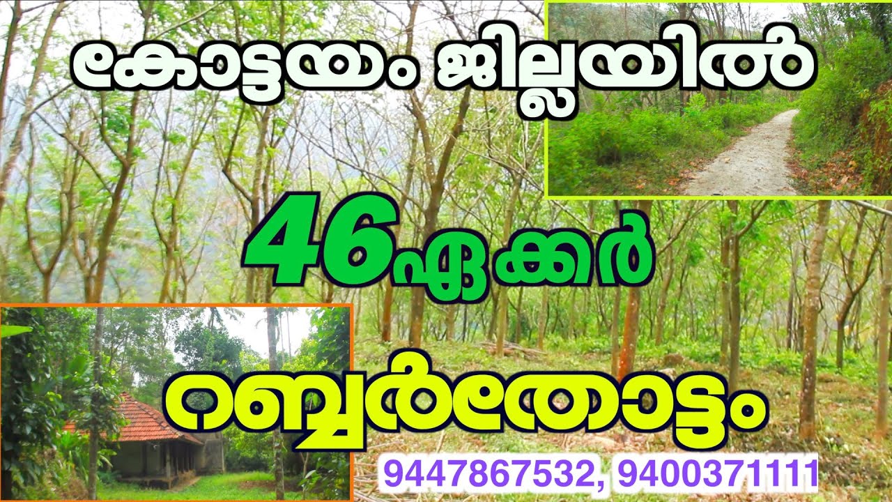Land For Sale In KTMAgricultural Land For Sale In KottayamMATHEW