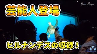 【タートルトーク】芸能人登場にざわめく会場内