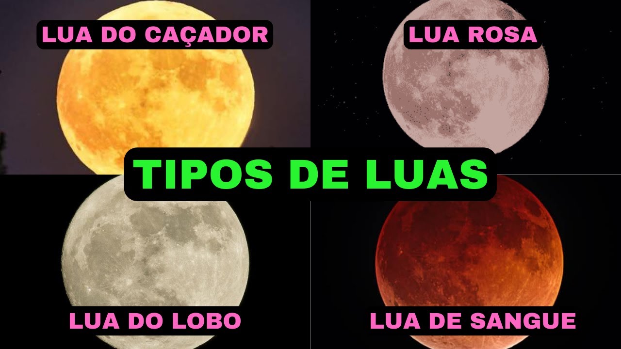 Lobo Da Lua Cheia Tumblr Lobos Uivando Sob A Brilhante Lua Cheia à