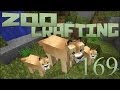 Mayla's Cougar Kittens!! 🐘 Zoo Crafting: Episode #169 [Zoocast]