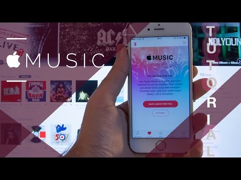 How To Setup Apple Music