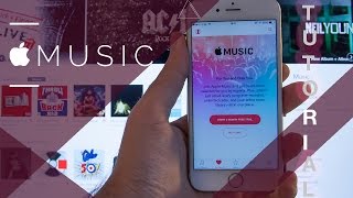 How To Setup Apple Music How To Setup Apple Music