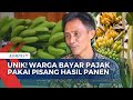 Unik! Bayar Pajak Pakai Pisang Cavendish, Warga Ponorogo Tak Perlu Cari Uang Tunai | SAPA SIANG