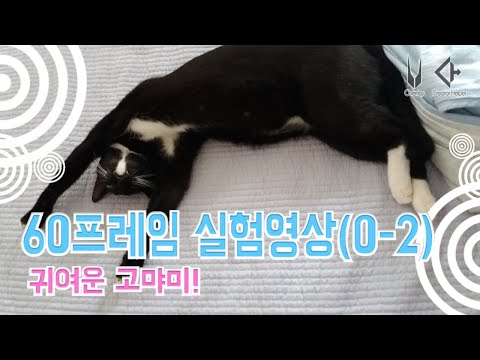 60프레임 되는거 방금 구글 플레이 가서야 깨달음ㅋㅋㅋ 소녀전선 69프레임 실험 쇼트영상 