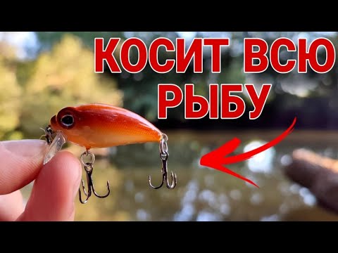 Видео: У него поклевка КАК УДАР ТОКОМ!!! Рыбалка на спиннинг на реке