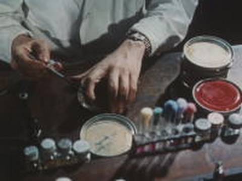 ⁣The discovery of penicillin (1964)