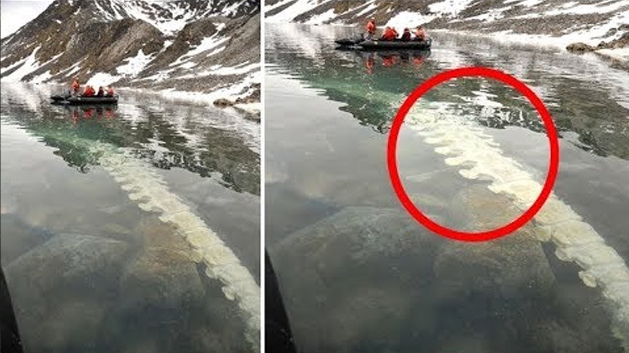 Des Plongeurs font une TERRIFIANTE Découverte sous une eau Cristalline