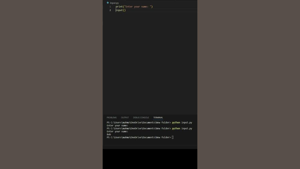 Python Input Function: A Comprehensive Guide for User Interaction - YouTube