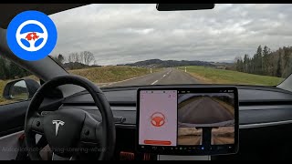 TESLA Autopilot - what happens if you DON'T touch the steering wheel? #tad_ch | Model 3 SR+