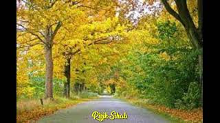 Download Lagu DJ RASANYA AKU SEDANG MELAYANG (Official Lyrik Vidio) || Music Paling Populer Dan Viral 2020 ||