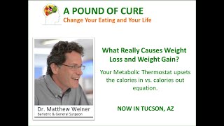 What Really Causes Weight Loss and Weight Gain?