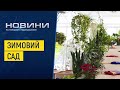 Місце відпочину та затишку