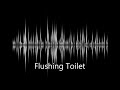 Sound effect flushing toilet