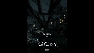القارئ محمد ديبيروف/قل لا أملك لنفسي ضرا ولانفعا