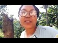 Antamnam Ripengrang Nasongcha Mikka Wama Waja Vlog Video