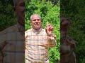 ادينا بنتعلم اكسبلور