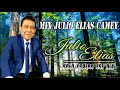 Julio elas alabanzas 1 hora de mix