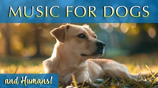 LIVE STREAM  Sleep Music for Dogs and Humans!
