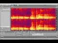 Удаление ненужного звука из записи в Adobe Audition | Auditionrich.com