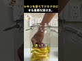 知らなきゃせっかくの果物代を大損&レモンの香りを全部殺す危機の罠…!