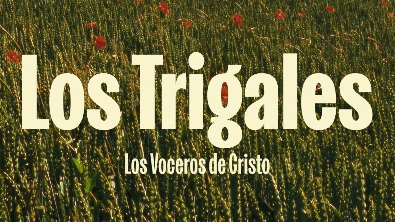 Los Trigales - Los Voceros de Cristo (Lyric Video) Los Trigales - Los Voceros de Cristo (Lyric Video)