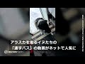 アラスカを走る、イヌたちの「通学バス」 散歩の送迎動画が人気に