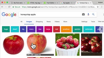 4. HTML 5 | 5. Self Closing HTML Tags | Technical Warna |