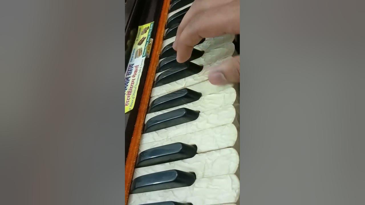 "Thagyan" covered on Harmonium #thagyanofficial   #trendingsong #ytshorts #viralvideo #harmonium