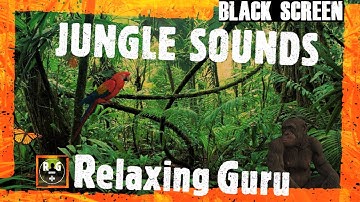 Jungle Sounds (BLACK SCREEN) | Rainforest Animal Sounds & Thunderstorm in Distance for Sleep, Relax