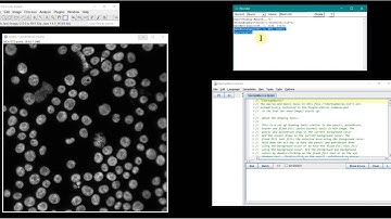Record and run macro with imageJ #macro #imagej