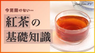 【紅茶講師が教える】紅茶の基礎知識