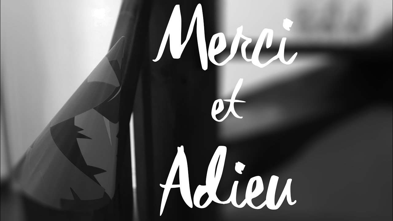 JE VOUS DIS ADIEU ! - YouTube