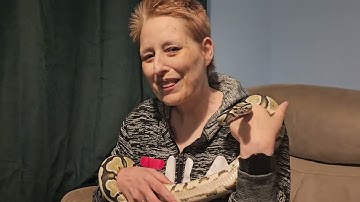 Unveiling new desert ghost 100%het pied