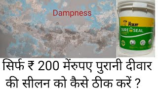 Wall की सीलन को कैसे रोके ? Old Wall Dampness Treatment | Dr Fixit sure Seal