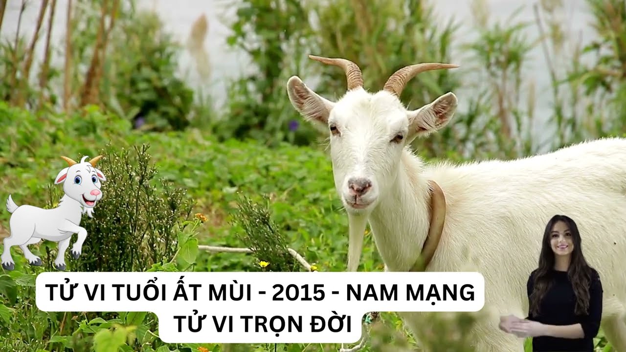 Tử vi 2015 - Khám Phá Những Dự Đoán Và Vận Mệnh Trong Năm