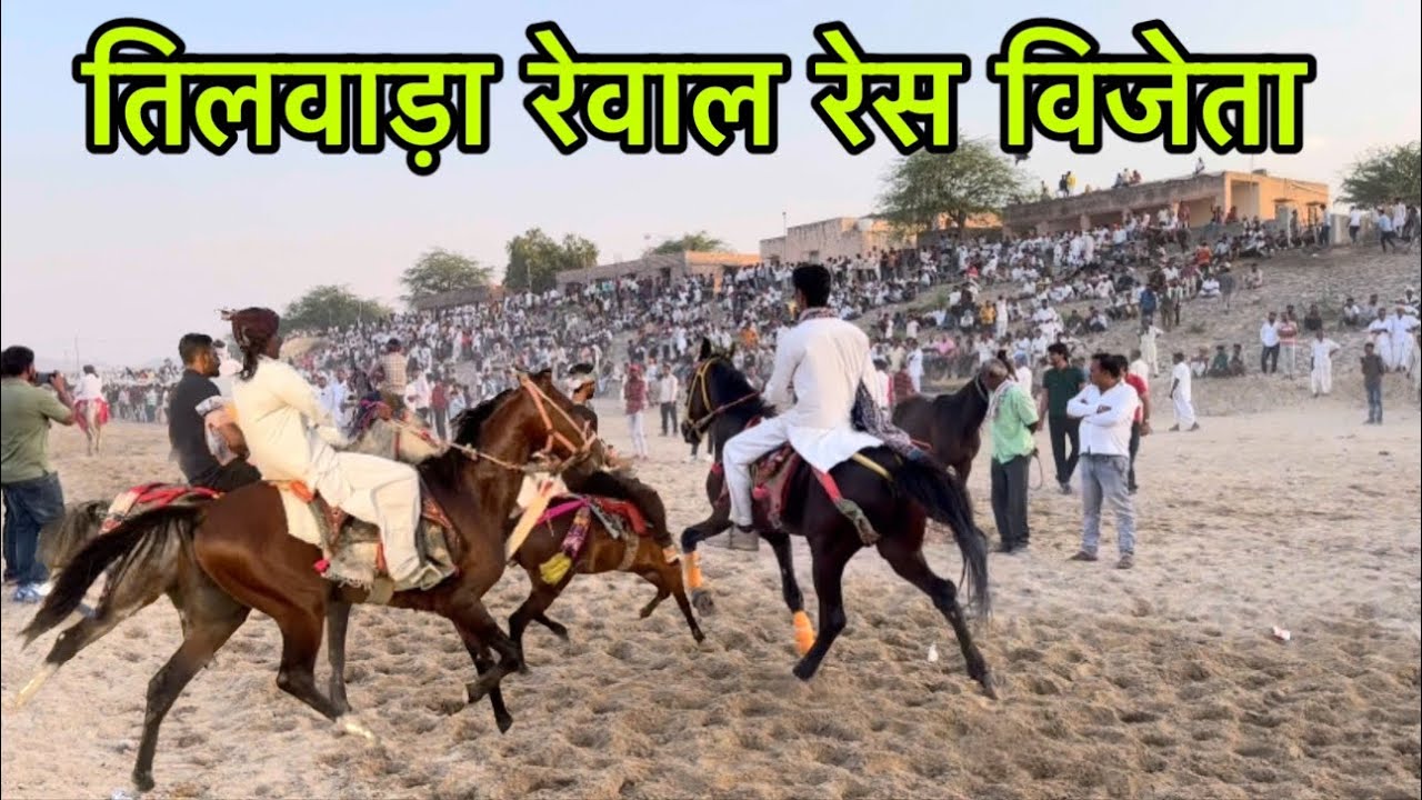 तिलवाड़ा मेला हॉर्स रेवाल रेस में रावल साहब का  घोड़ा रहा विजेता tilwada mela 2024 balotra mela